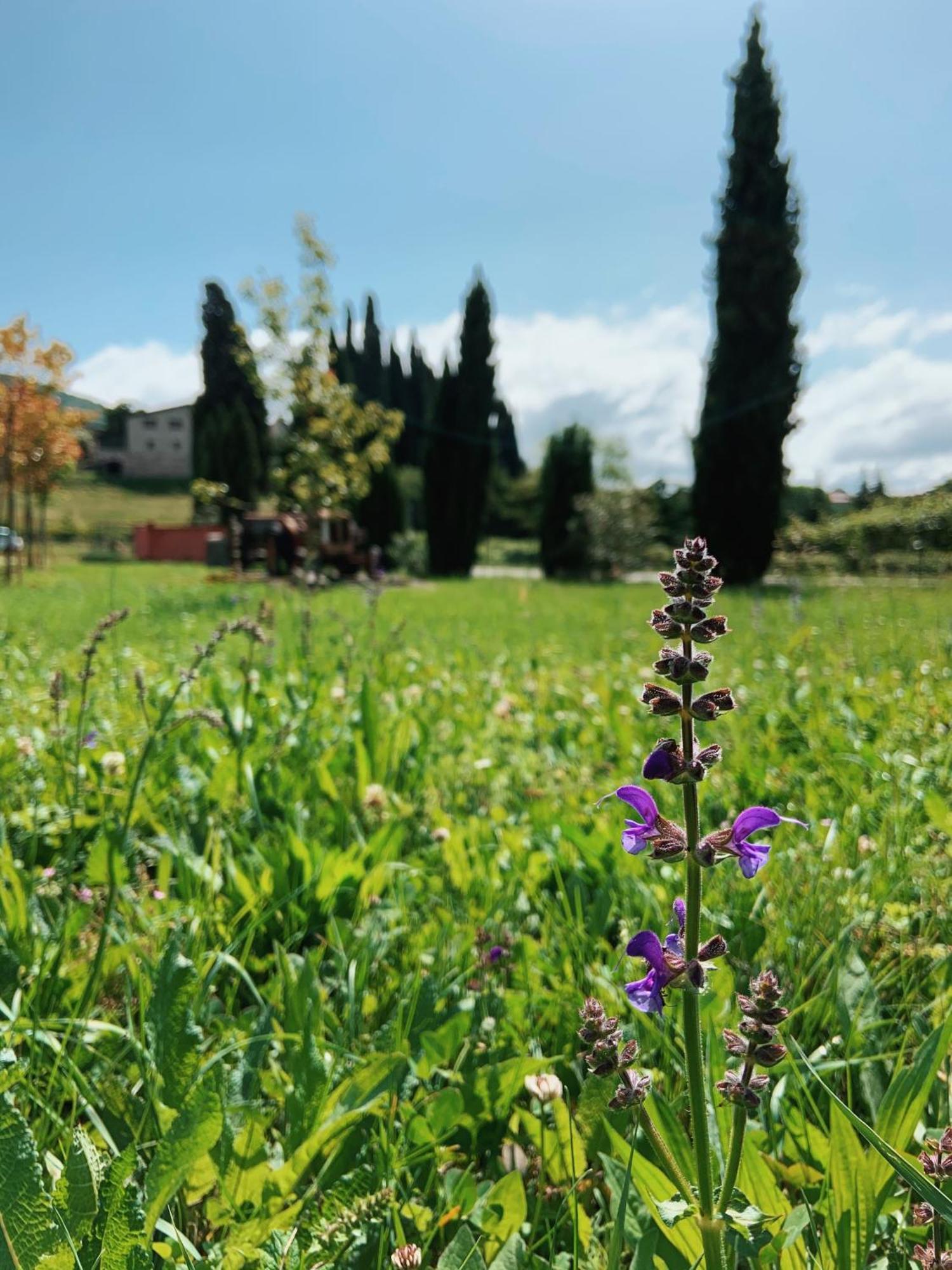 Agriturismo Val Costermano Dış mekan fotoğraf